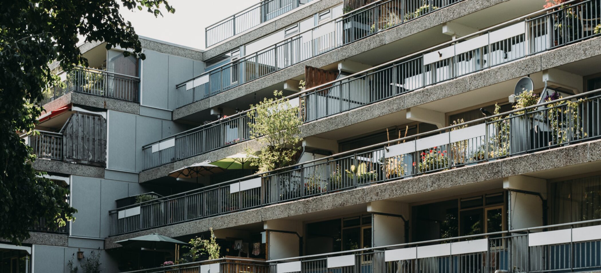 Ede Dubbelhof Bridges Real Estate